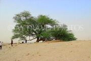BAHRAIN, Tree Of Life, BHR1831JPL