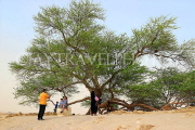 BAHRAIN, Tree Of Life, BHR1832JPL
