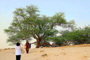 BAHRAIN, Tree Of Life, BHR1833JPL