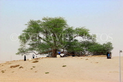 BAHRAIN, Tree Of Life, BHR1835JPL