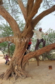 BAHRAIN, Tree Of Life, BHR1837JPL