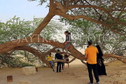 BAHRAIN, Tree Of Life, BHR1838JPL