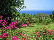 BARBADOS, Andromeda Gardens, Bougainvillea flowers, BAR571JPL