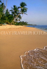BARBADOS, West Coast, beach and coconut trees, BAR125JPL