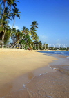 BARBADOS, West Coast, beach and coconut trees, BAR421JPL