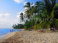 BARBADOS, West Coast, beach and coconut trees, BAR444JPL