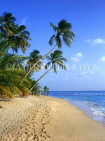 BARBADOS, West Coast, beach and leaning coconut trees, BAR413JPL