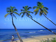 BARBADOS, West Coast, beach and three leaning coconut trees, BAR1290JPL