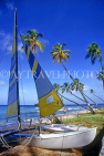 BARBADOS, West Coast, coconut palms and sailboat, BAR120JPL