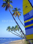 BARBADOS, West Coast, coconut palms and sailboat, BAR506JPL