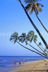 BARBADOS, West Coast, seascape and leaning coconut trees, BAR525JPL