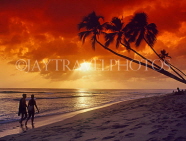BARBADOS, West Coast, sunset and leaning coconut trees, tourist couple, BAR532JPL