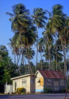 BARBADOS, chattel house and coconut trees, BAR218JPL