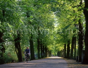 Belgium, BRUGES, Minnewater Park, tree lined street, BEL234JPL