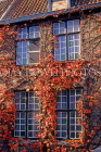 Belgium, BRUGES, ivy covered house front, in autumn, BEL296JPL