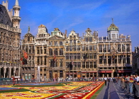 Belgium, BRUSSELS, Grand Place, Flower Carpet Festival, BEL122JPL