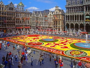 Belgium, BRUSSELS, Grand Place, Flower Carpet Festival, BRS10JPL