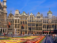 Belgium, BRUSSELS, Grand Place, Flower Carpet Festival, BRS2JPL