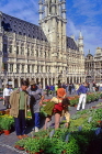 Belgium, BRUSSELS, Grand Place, flower market, BRS108JPL