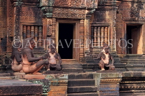 CAMBODIA, Angkor, Banteay Srei Temple, monkey guardian sulptures, CAM1121JPL