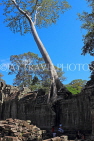 CAMBODIA, Angkor, Preah Khan Temple, Strangler Fig Tree engulfing ruins, CAM1177JPL