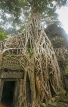 CAMBODIA, Angkor Wat, temple taken over by tree roots at the Ta Phrom temple complex, CAM62JPL