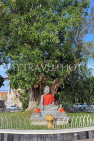 CAMBODIA, Phnom Penh, Botum Pagoda Park, sacred Bodhi tree, Buddha statue, CAM1854JPL