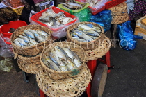CAMBODIA, Phnom Penh, Phsar Chas (Market), dried fish, CAM1693JPL