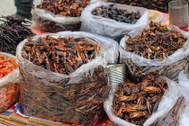 CAMBODIA, Phnom Penh, street food, stall selling fried insects, crickets etc, CAM2075JPL