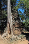 CAMBODIA, Siem Reap, Ta Prohm Temple, Strangler Fig Tree, CAM1463JPL