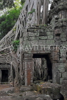 CAMBODIA, Siem Reap, Ta Prohm Temple, Strangler Fig Tree roots engulfing ruins, CAM1425JPL