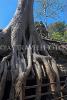 CAMBODIA, Siem Reap, Ta Prohm Temple, Strangler Fig Tree roots engulfing ruins, CAM1491JPL