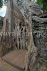 CAMBODIA, Siem Reap, Ta Prohm Temple, Strangler Fig Tree roots engulfing ruins, CAM1494JPL