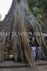 CAMBODIA, Siem Reap, Ta Prohm Temple, Strangler Fig Tree roots engulfing ruins, CAM1498JPL