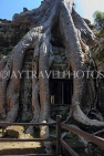 CAMBODIA, Siem Reap, Ta Prohm Temple, Strangler Fig Tree roots engulfing ruins, CAM1499JPL
