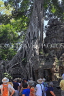 CAMBODIA, Siem Reap, Ta Prohm Temple, Strangler Fig Tree roots engulfing ruins, CAM1501JPL