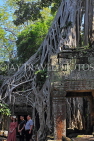 CAMBODIA, Siem Reap, Ta Prohm Temple, Strangler Fig Tree roots engulfing ruins, CAM1502JPL