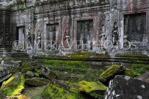 CAMBODIA, Siem Reap, Ta Prohm Temple, bas-relief Devata figures, CAM1439JPL