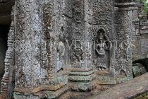 CAMBODIA, Siem Reap, Ta Prohm Temple, bas-relief carvings, CAM1444JPL