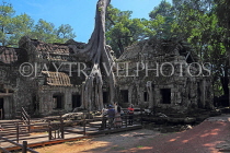 CAMBODIA, Siem Reap, Ta Prohm Temple, giant Strangler Fig Tree roots, CAM1509JPL