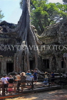 CAMBODIA, Siem Reap, Ta Prohm Temple, giant Strangler Fig Tree roots, and tourists, CAM1503JPL