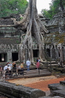 CAMBODIA, Siem Reap, Ta Prohm Temple, giant Strangler Fig Tree roots, and tourists, CAM1507JPL