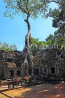 CAMBODIA, Siem Reap, Ta Prohm Temple, giant Strangler Fig Tree roots, and tourists, CAM1508JPL