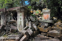 CAMBODIA, Siem Reap, Ta Prohm Temple, ruins, CAM1415JPL