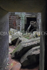 CAMBODIA, Siem Reap, Ta Prohm Temple, ruins, CAM1416JPL