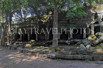 CAMBODIA, Siem Reap, Ta Prohm Temple, temple buildings and ruins, CAM1462JPL