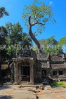 CAMBODIA, Siem Reap, Ta Prohm Temple, temple complex, CAM1476JPL