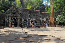 CAMBODIA, Siem Reap, Ta Prohm Temple, temple complex, CAM1478JPL