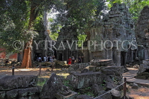 CAMBODIA, Siem Reap, Ta Prohm Temple, temple complex, CAM1479JPL