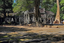 CAMBODIA, Siem Reap, Ta Prohm Temple, temple complex, CAM1484JPL